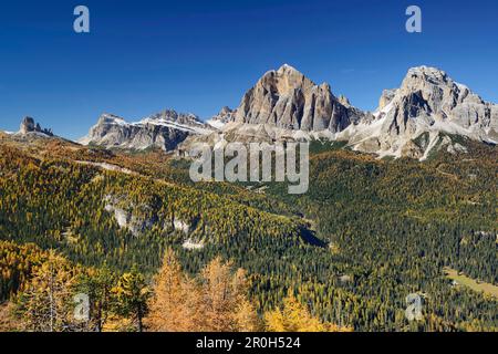 Cinque Torri, Tofana di Rozes und Tofana di Mezzo über Lärchen in Herbstfarben, Cortina d'Ampezzo, Dolomiten, UNESCO-Weltkulturerbe Dolomit Stockfoto