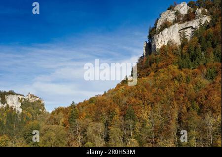 Blick über den Wald auf Schloss Werenwag, Hausen im Tal, Oberes Donautal, Schwäbische Alpen, Baden-Württemberg, Deutschland, Europa Stockfoto