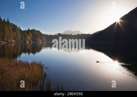 Hintersee bei Sonnenaufgang, Blick auf Hoher Goell, Ramsau, Berchtesgaden, Berchtesgaden-Nationalpark, Oberbayern, Deutschland, Europa Stockfoto