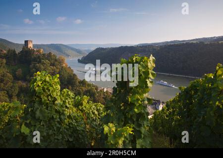 Blick von den Weinbergen auf Schloss Gutenfels und Schloss Pfalzgrafenstein, UNESCO-Weltkulturerbe, in der Nähe von Kaub, Rhein, Rheinland-Pfalz, Stockfoto