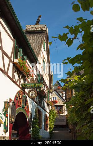 Drosselhof in Drosselgasse, Ruedesheim, Rheingau, Rhein, Hessen, Deutschland Stockfoto