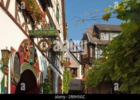 Drosselhof in Drosselgasse, Ruedesheim, Rheingau, Rhein, Hessen, Deutschland Stockfoto