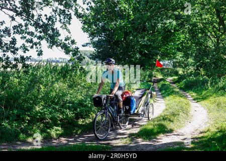 Mann mit Kind Transporter entlang einem Feldweg, Altefaehr, Insel Rügen, Radfahren Mecklenburg-Western Pomerania, Deutschland Stockfoto