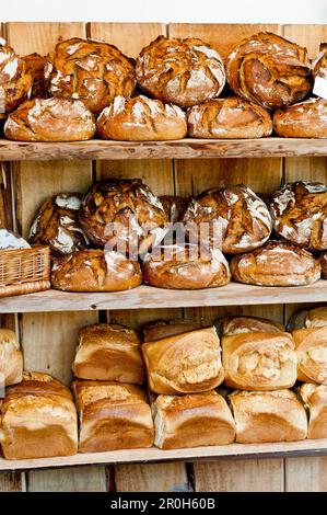 Brot in einem Holzofen in der Bäckerei in Norddeutschland gebacken Stockfoto