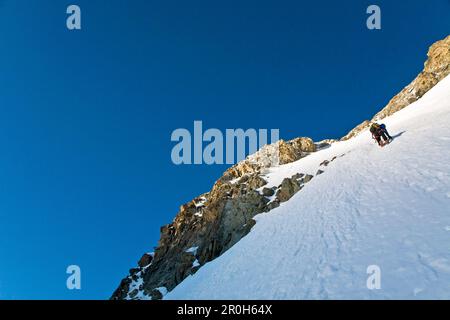 Ascenting, Piz Roseg, Oberengadin, Kanton Graubünden, Schweiz Stockfoto