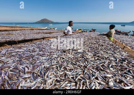 Eine Frau und ein Mann trocknen Fisch, Matemba oder Usiba, Chembe Village, Lake Malawi, Malawi, Afrika Stockfoto