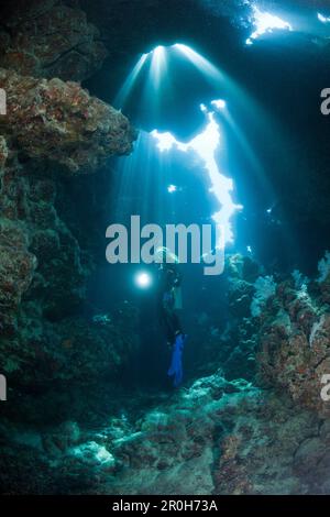 Taucher im Inneren der Höhle, Zabargad, Rotes Meer, Ägypten Stockfoto