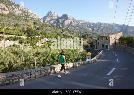 Straße MA-2121 in der Nähe von Fornalutx mit terrassenförmigen Feldern in Richtung Soller-Tal, Tramuntana-Berge, Mallorca, Balearen, Spanien Stockfoto