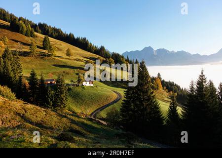 Blick über Steinernes Meer, in der Nähe von Maria Alm, Pinzgau, Salzburg, Österreich Stockfoto