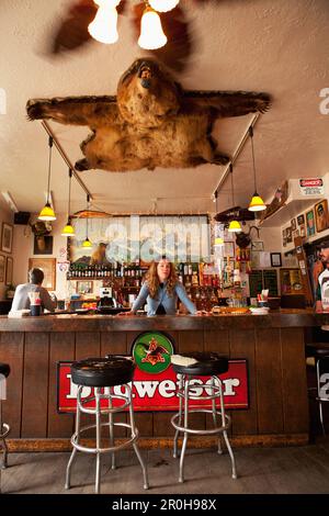 ALASKA, Talkeetna, der Barkeeper im Historic Fairview Inn (1923) Stockfoto