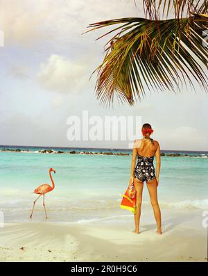 ARUBA, Porträt einer jungen Frau, die am Strand inmitten von Pink Flamingos, Renaissance Island, steht Stockfoto
