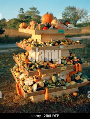 ÖSTERREICH, Rust, Produkte zum Verkauf auf einem Straßenstand im Burgenland Stockfoto