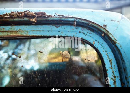 USA, Kalifornien, Malibu, Details eines alten Pickup-Trucks auf der Ranch von Mildred Millie Decker, Decker Canyon Stockfoto