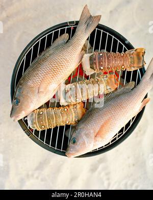 USA, Florida, Fisch und Hummerschwänze auf dem Grill, Nahaufnahme, Islamorada Stockfoto