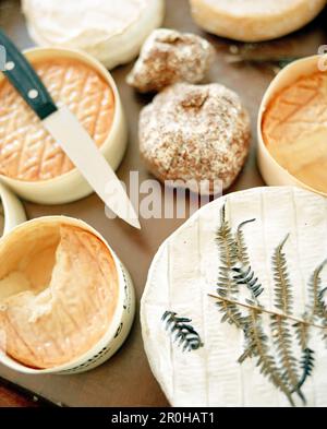 FRANKREICH, Pernand-Vergeless, Burgund, Käse aus nächster Nähe im Restaurant Le Charlemagne Stockfoto