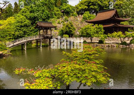 Eiho-ji ist ein buddhistischer Tempel von Rinzai Zen in Tajimi, Gifu, der 1313 gegründet wurde. Der Tempel ist ein Kloster, bekannt für seinen Teichgarten mit einem Fantasulo Stockfoto