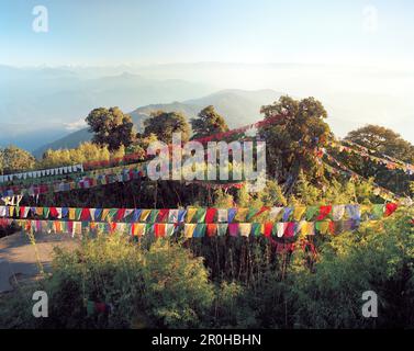 INDIA, West Bengal, bunte Gebetsfahnen aufhängen über Bäume, Tiger Hill Stockfoto