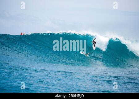 INDONESIEN, Mentawai-Inseln, Kandui Resort, junge Männer, die auf Wellen surfen, Bankvaults Stockfoto
