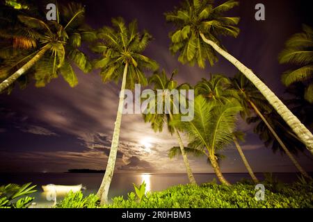 INDONESIEN, Mentawai-Inseln, Kandui Resort, Palmen mit Indischem Ozean bei Nacht, Mondaufgang Stockfoto