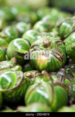 MAURITIUS, Flacq, Tomaten zum Verkauf auf dem Markt in Flacq, dem größten Freiluftmarkt in Mauritius, Ost-Mauritius Stockfoto