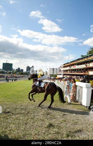 MAURITIUS; Port Louis; eine internationale Pferderennen zieht Tausende an Champ de Mars Rennen natürlich; Internationale Jockey Tag Stockfoto