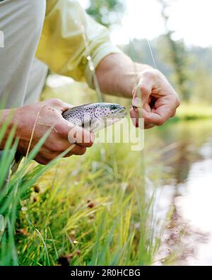 USA, Montana, Mann mit einer Regenbogenforelle, die er gefangen hat, Mountain Sky Guest Ranch Stockfoto