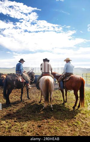 USA, Wyoming, Lager, Cowboys machen Sie eine Pause auf ihren Pferden während einer Branding, Big Creek Ranch Stockfoto