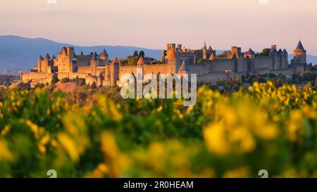 Sonnenuntergang über der befestigten Stadt Carcassonne auf einem Hügel hoch über Aude in Südfrankreich, Languedoc-Roussillon, Frankreich Stockfoto