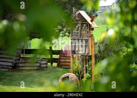 Kreative Insektenfreude in einem Landgarten, Deutschland Stockfoto