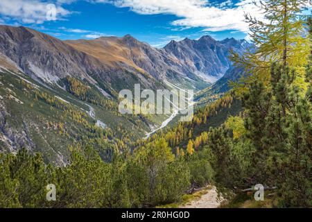 Blick über Val Cluozza im Herbst, Nationalpark, Kanton Graubünden, Schweiz Stockfoto