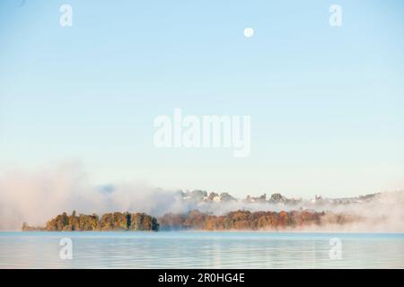 Rose Island im frühen Morgennebel, Starnberger See, Bayern, Deutschland Stockfoto