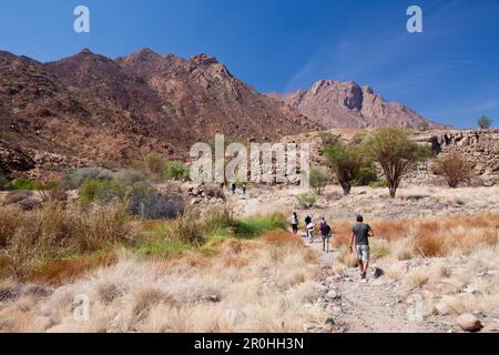 Touristen, die Tsisabschlucht-Schlucht-Tal, Brandberg, Erongo, Namibia Stockfoto