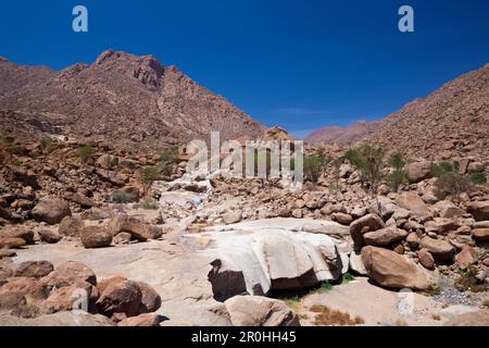 Impressionen der Tsisabschlucht Schlucht Tal, Brandberg, Erongo, Namibia Stockfoto