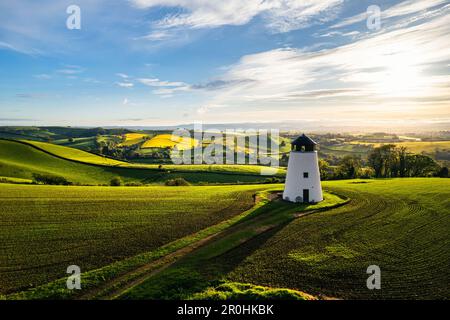 Devon Windmill über Felder und Farmen einer Drohne, Torquay, Devon, England Stockfoto