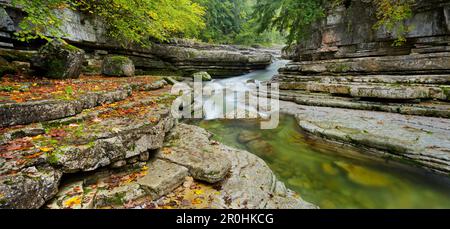 Tauglbach, der durch eine Schlucht fließt, Hallein, Salzburg Land, Österreich Stockfoto