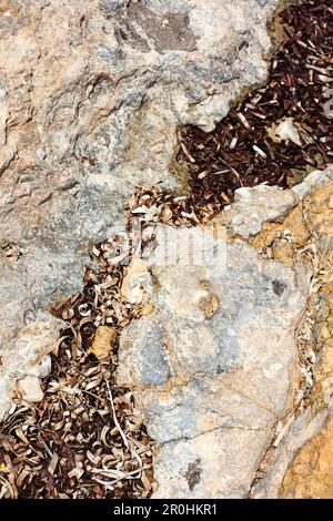 Meeresfelsen aus nächster Nähe Naturhintergrund qualitativ hochwertige Metalldrucke Sommerstimmung am Strand auf der insel creta erstaunliche Gefühle Wohndekor Stockfoto
