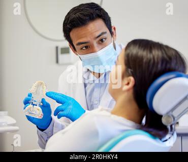 Wir müssen vielleicht einen Zahn extrahieren. Ein Zahnarzt zeigte seiner Patientin vor dem Eingriff ein Modell von Zähnen. Stockfoto
