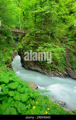 Der Fluss Partnach, der durch einen engen Canyon fließt, Partnachklamm, Garmisch-Partenkirchen, Werdenfels, Wetterstein Range, Oberbayern, Bayern, Deutschland Stockfoto