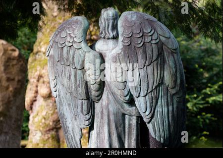 Rückansicht der Flügel einer Engelfigur auf einem historischen Friedhof Stockfoto