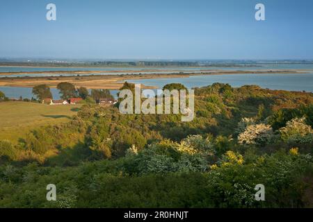 Hawthorn, Blick von Dornbusch über den Bodden nach Rügen, Hiddensee, Ostsee, Mecklenburg-Vorpommern, Deutschland Stockfoto