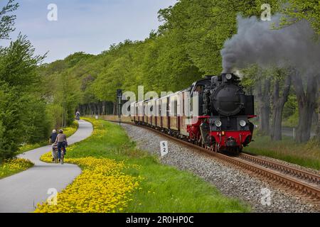 Schmalspurbahn Molli und Radweg zwischen Heiligendamm und Bad Doberan, Mecklenburg-Westpommerania, Deutschland Stockfoto