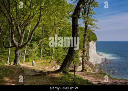 Buchenholz und Kreideklippen in der Nähe von Sassnitz, Jasmund-Nationalpark, Insel Ruegen, Ostseeküste, Mecklenburg-Westpommerania, Deutschland Stockfoto