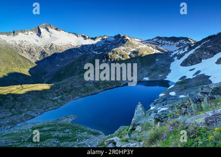 Blick über den See Scharzhornsee, Mount Hochalmspitze, Malta-Tal, Ankogel-Gruppe, Nationalpark Hohe Tauern, Kärnten, Österreich Stockfoto