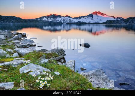 Blick über den See Scharzhornsee, Mount Hochalmspitze, Malta-Tal, Ankogel-Gruppe, Nationalpark Hohe Tauern, Kärnten, Österreich Stockfoto