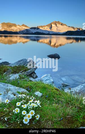 Blick über den See Scharzhornsee, Mount Hochalmspitze, Malta-Tal, Ankogel-Gruppe, Nationalpark Hohe Tauern, Kärnten, Österreich Stockfoto