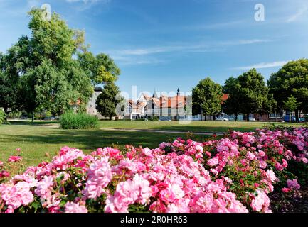 Word Lane und Wordgarden, Quedlinburg, Sachsen-Anhalt, Deutschland Stockfoto