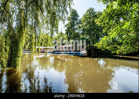 Cafe neben Fluss Ilmenau, Lüneburg, Niedersachsen, Deutschland Stockfoto