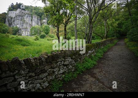 La Verna, ein Franziskanerkloster auf Monte Penna, St. Francis von Assisi, Via Francigena di San Francesco, St. Francis Way, in der Nähe von Chiusi della Verna, Pro Stockfoto