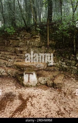 Freiluftaltar mit Tau-Symbol, steiler Wald am Eremo delle Carceri, Einsiedlung in den Wäldern über Assisi, Monte Subasio, St. Francis von Assisi, Via Fr Stockfoto