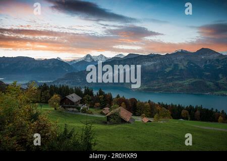 Blick über den Thunersee zu Sonnenaufgang über Eiger, Mönch und Jungfrau, Beatenberg, Berner Oberland, Kanton Bern, Schweiz Stockfoto